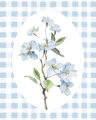 Image Not Available